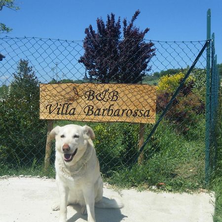 B&B Villa Barbarossa 페트리냐노 외부 사진